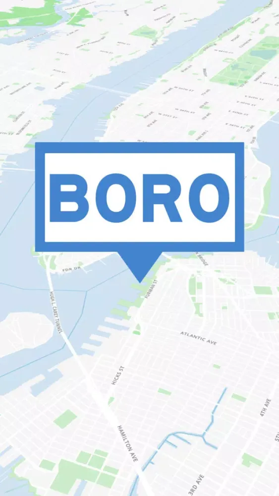 Boro - on street parking Screenshots