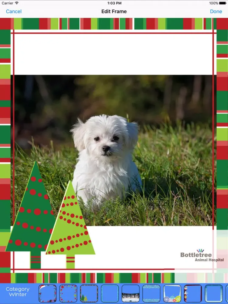 Bottletree Animal Hospital iPad  スクリーンショット