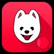 Adopt Buy Dogs Singapore
