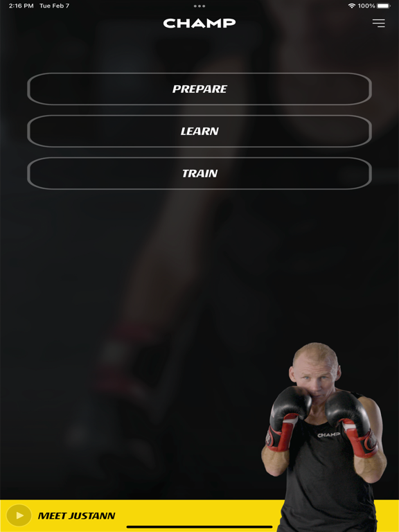 صور Champ Boxing iPad 