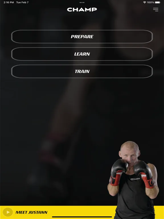 Tangkapan layar Champ Boxing iPad 