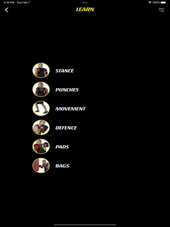 Tangkapan layar Champ Boxing iPad 