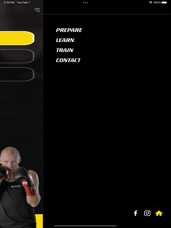 صور Champ Boxing iPad 