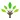 智树