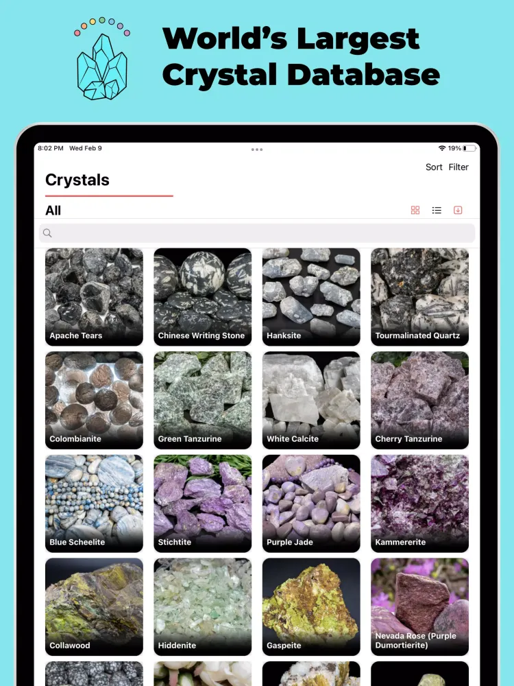 Crystal Council Identifier应用截图
