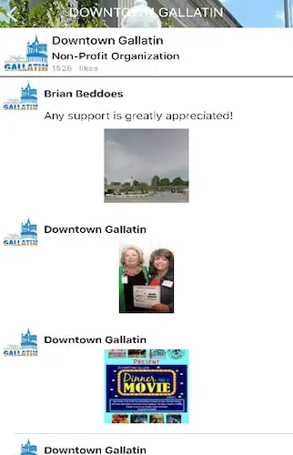 Capturas de tela do DOWNTOWN GALLATIN