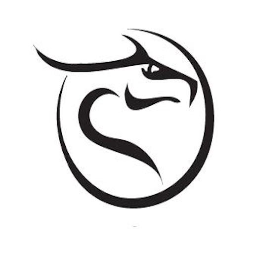 Dragon Protection Service