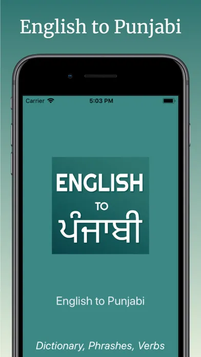 English to Punjabi Translator应用截图
