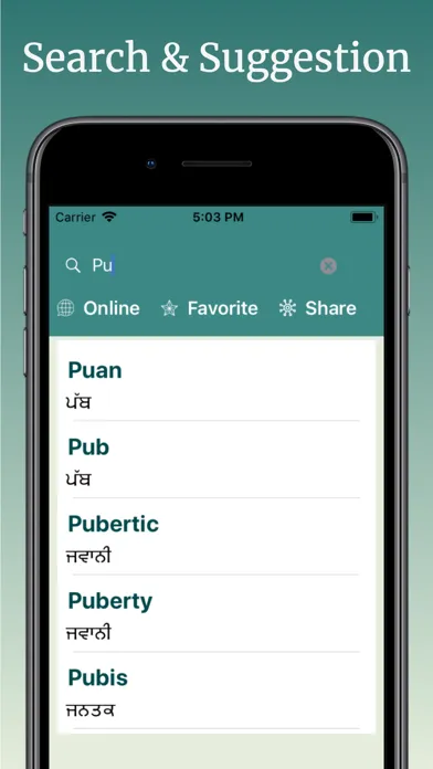 English to Punjabi Translator应用截图