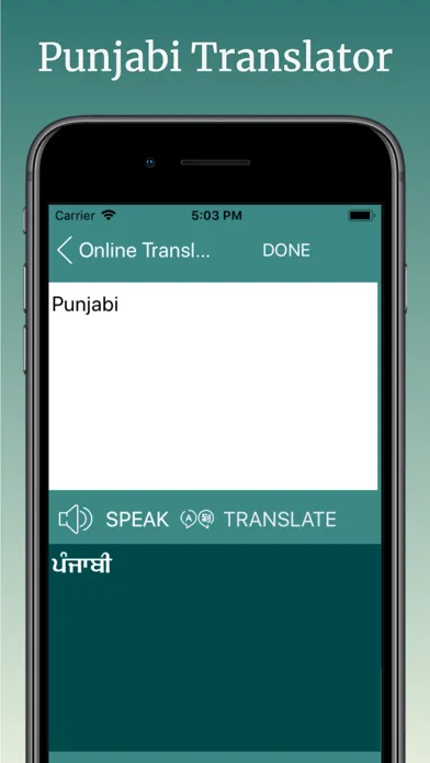 English to Punjabi Translator应用截图