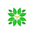 Farmacia Annolino