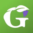 Grapevyne App Grapevyne App