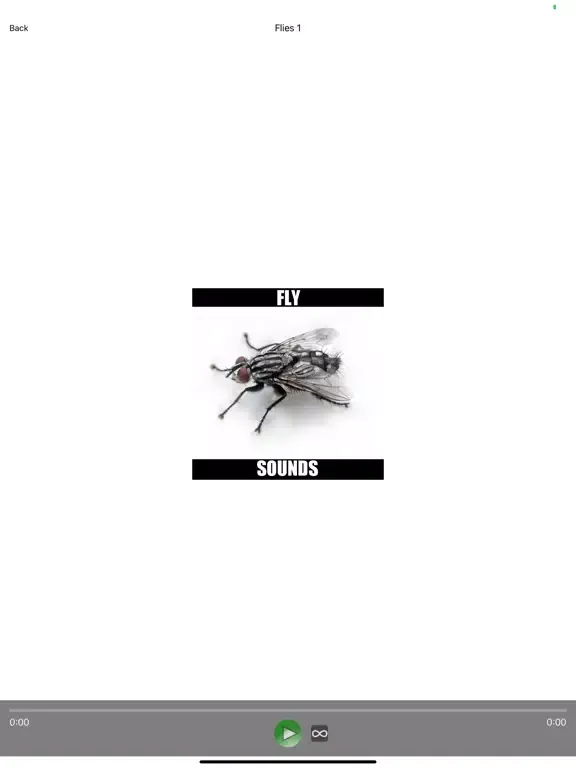 تصاویر Fly Sounds! iPad 