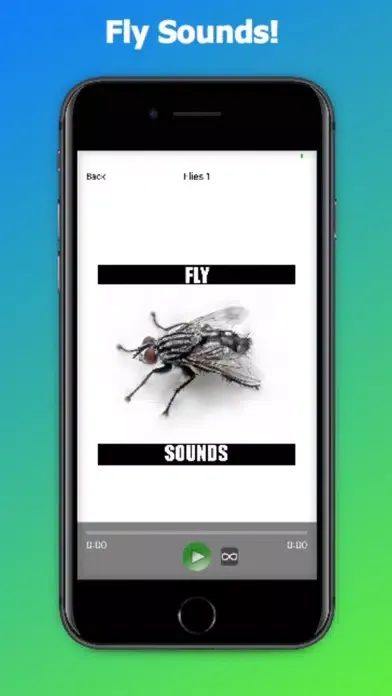 تصاویر Fly Sounds!