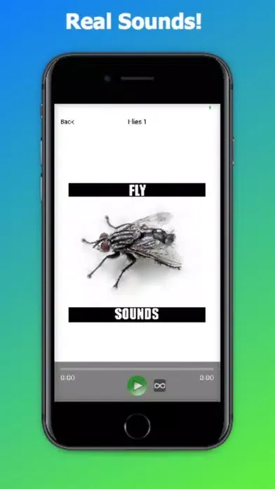 تصاویر Fly Sounds!
