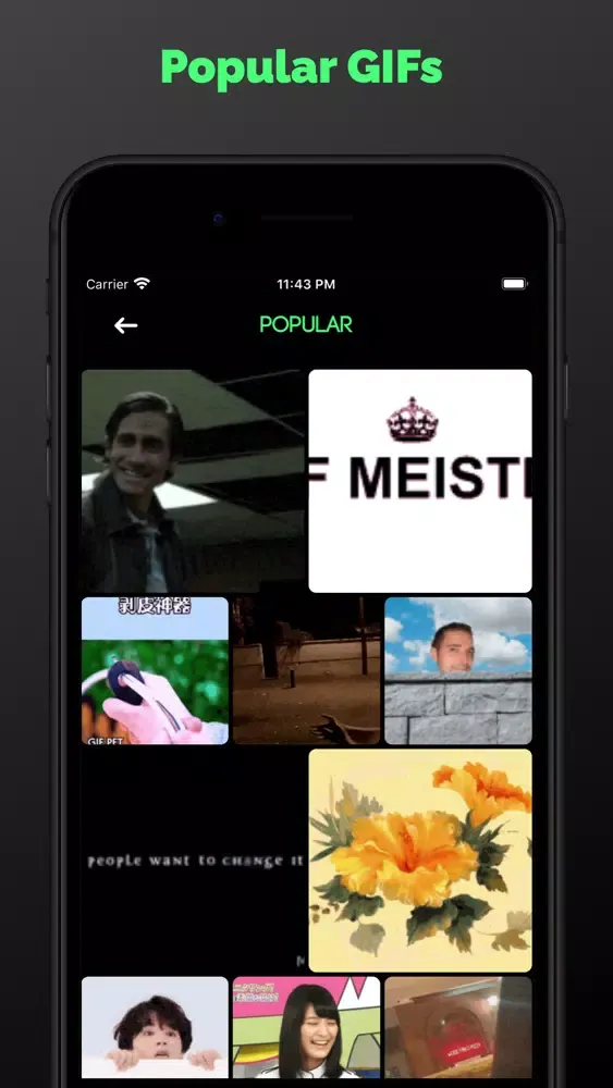 Tangkapan skrin Gif Makerly - Video to GIF