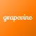 Grapevine