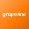 Grapevine