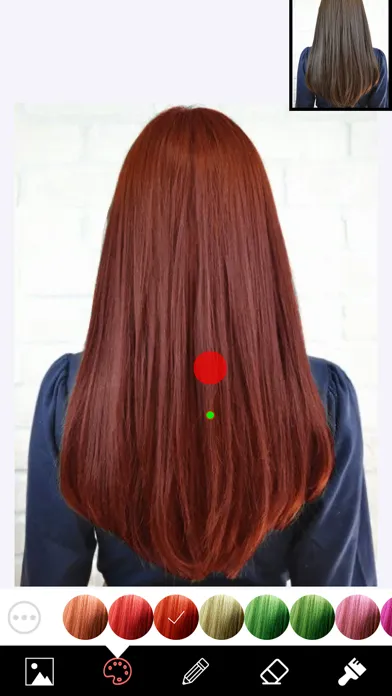 Hair Color Changer Editor Ekran Görüntüleri