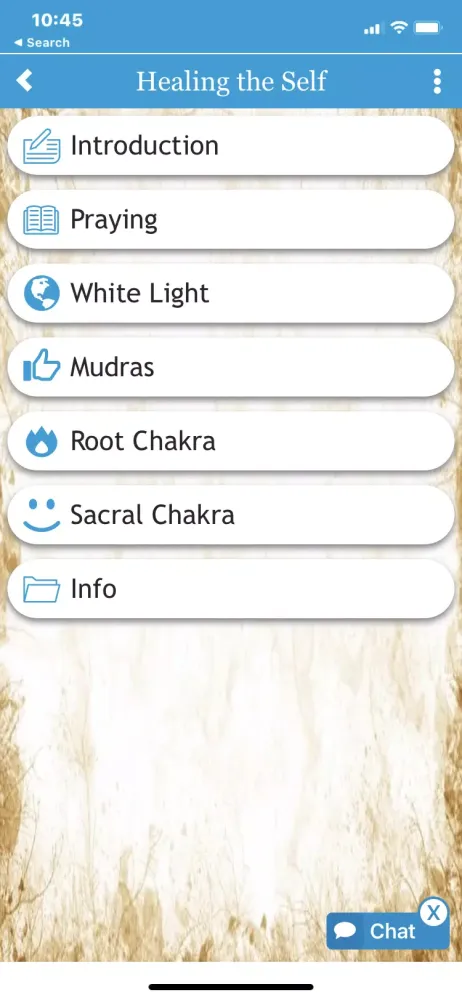 Healing the Self Screenshots