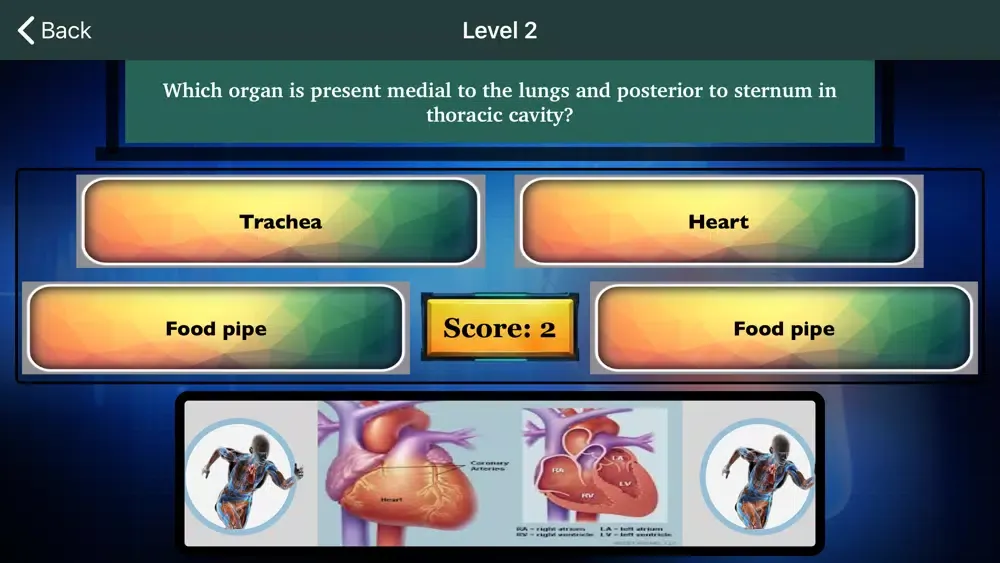Captures d'écran de Human Anatomy and Physiology