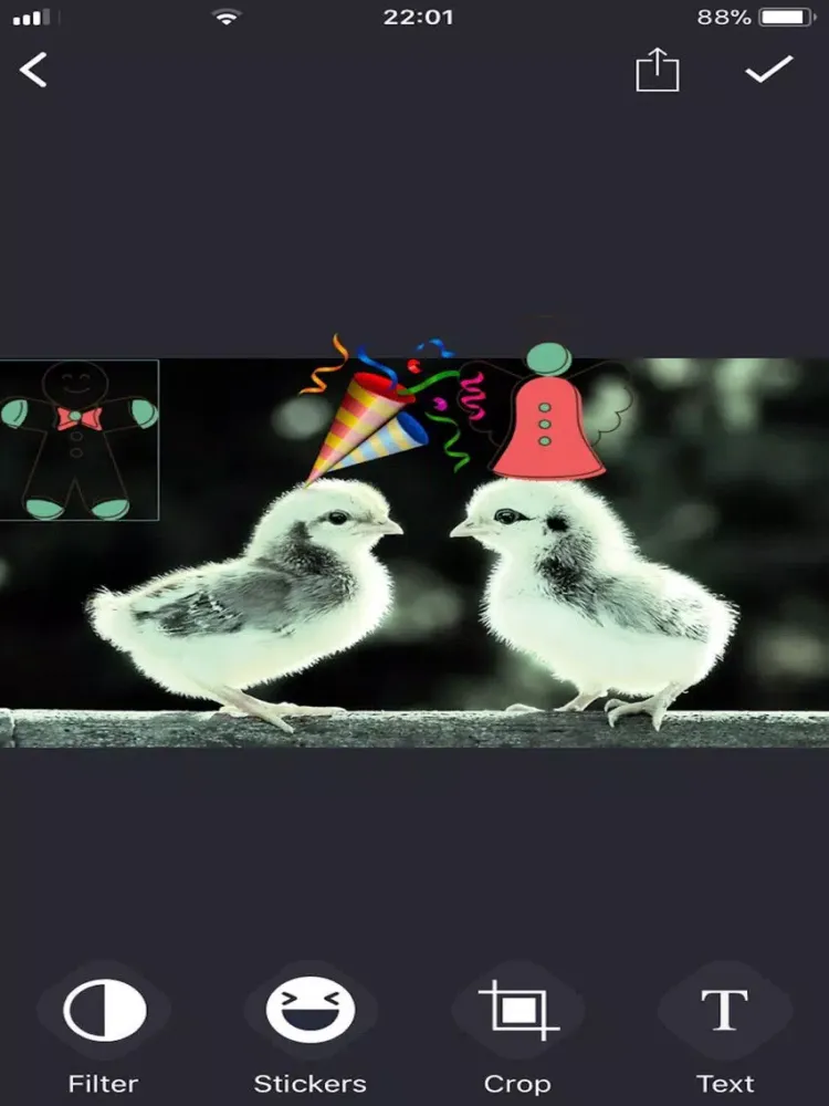 Add Text & Edit Photo by Fonsi iPad 应用截图