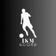 ISMSCORE