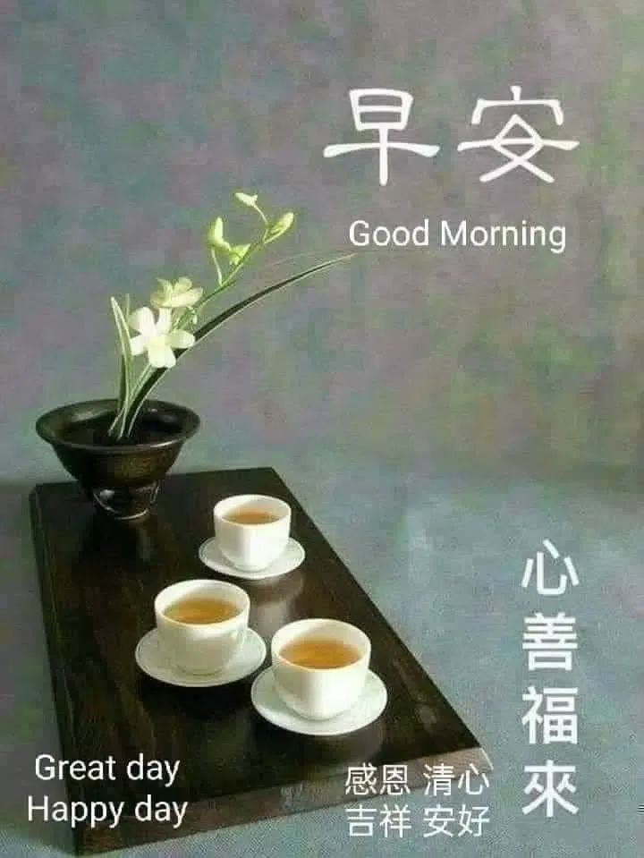 早安晚安图片 GIF 2025应用截图