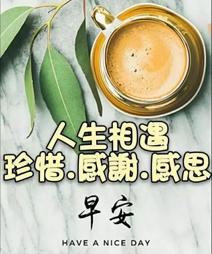 早安晚安图片 GIF 2025应用截图