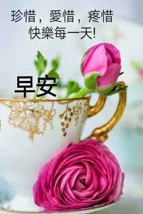 早安晚安图片 GIF 2025应用截图