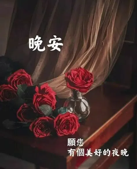 早安晚安图片 GIF 2025应用截图