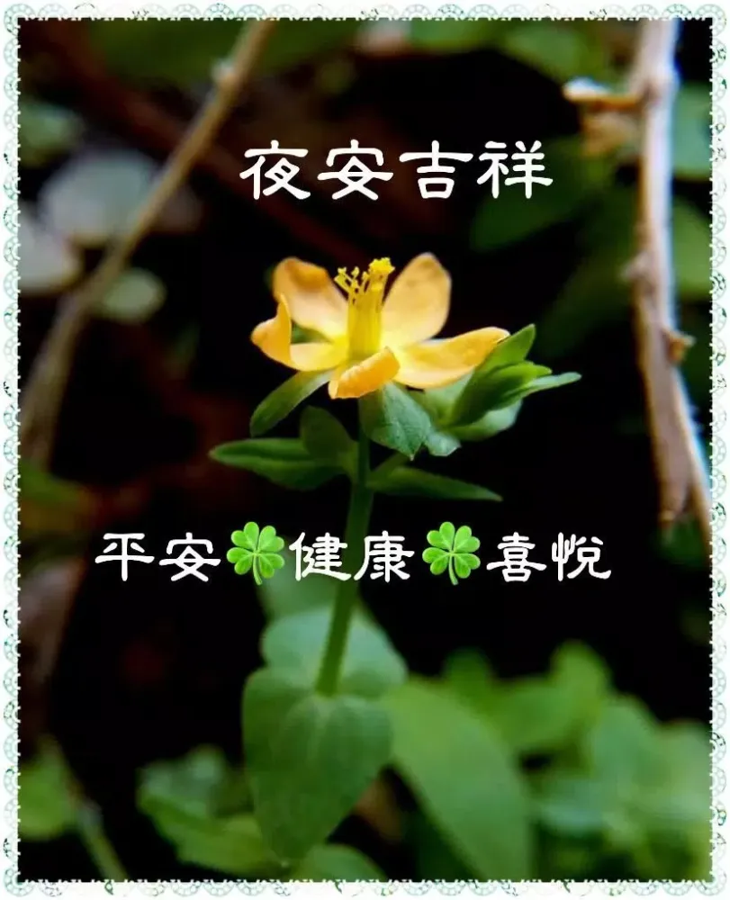 早安晚安图片 GIF 2025应用截图