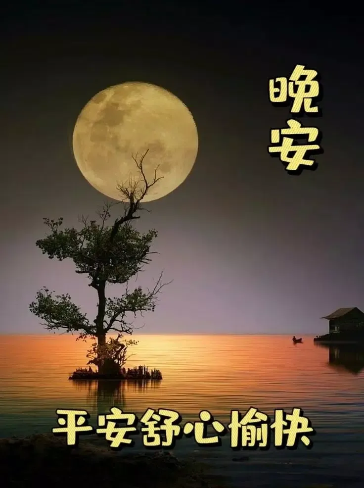 早安晚安图片 GIF 2025应用截图