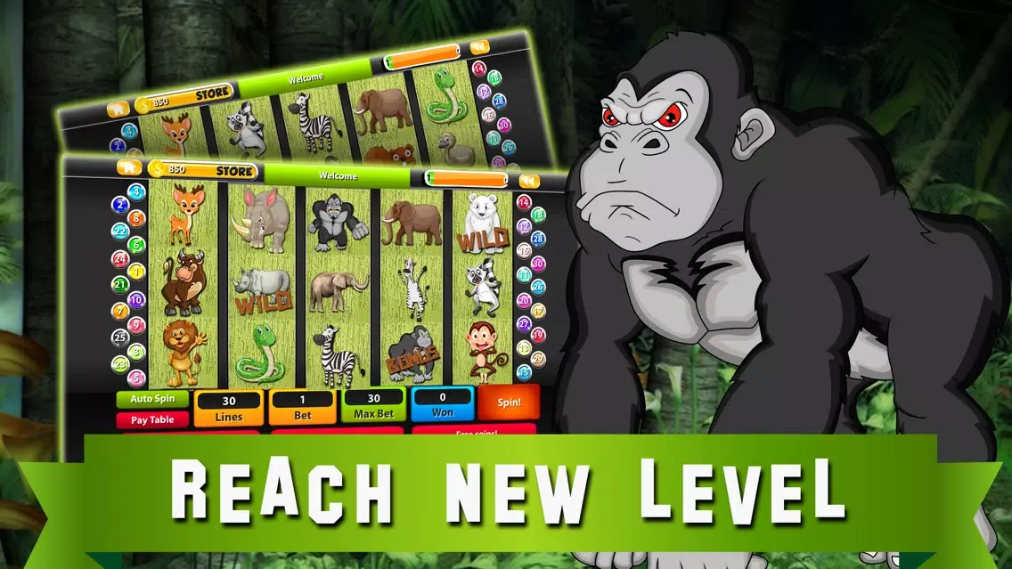ภาพหน้าจอของ Slot Machines: Book of Mystery Jungle – Play Casino Treasure Tournaments