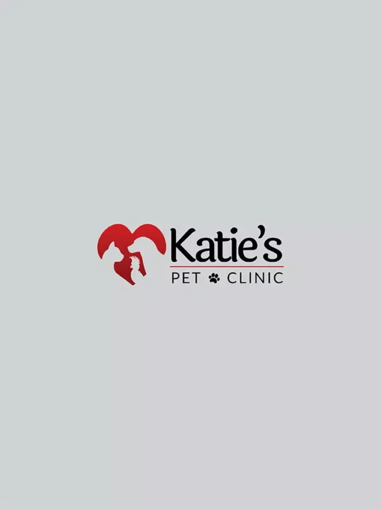 Tangkapan skrin Katie's Pet Clinic iPad 