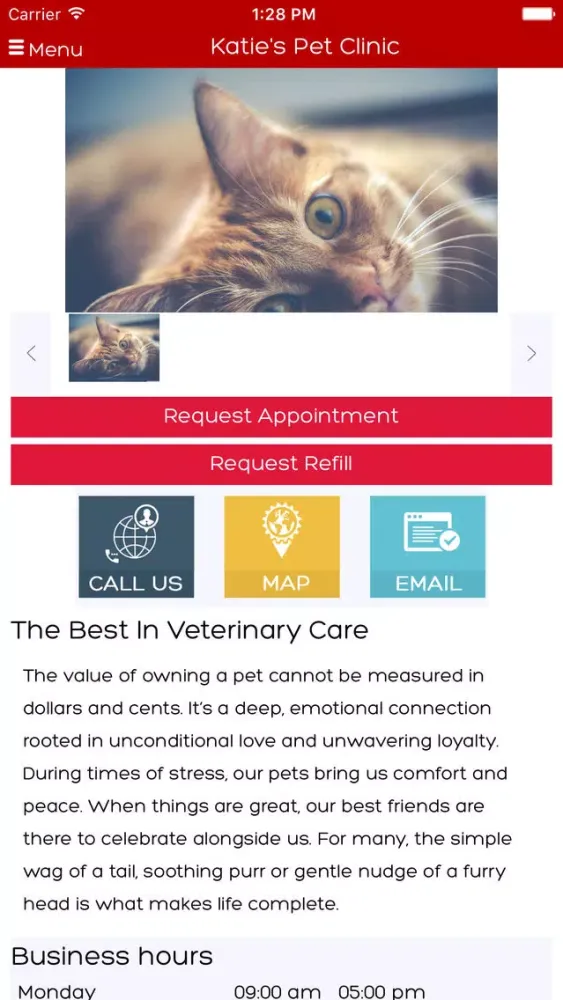 Tangkapan skrin Katie's Pet Clinic