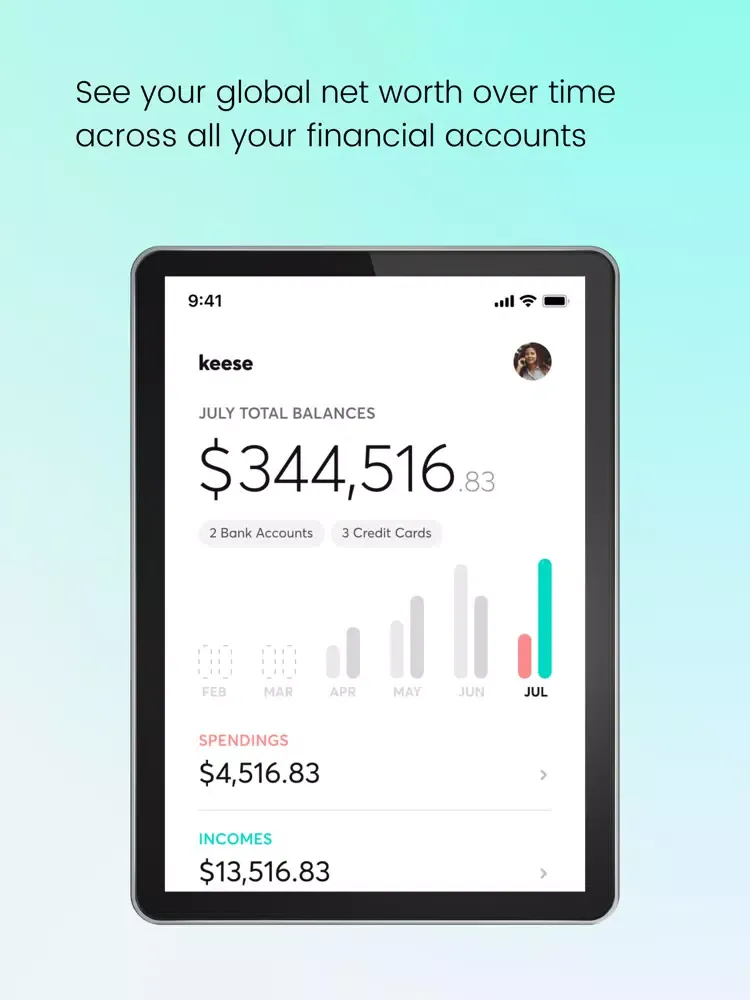 Keese- Organize your finances iPad  Screenshots
