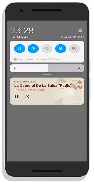 La Catedral de la Salsa Radio Screenshots