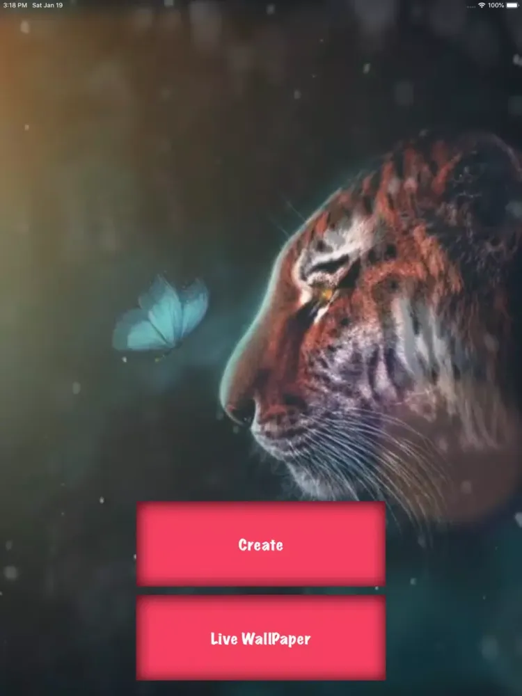 تصاویر Live Wallpapers 2019 iPad 