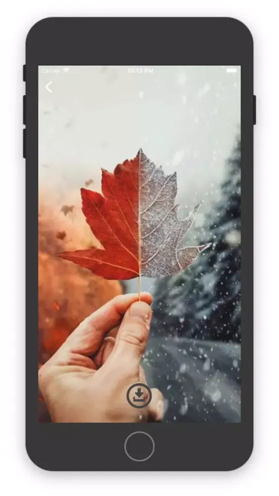 تصاویر Live Wallpapers 2019