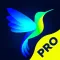 Live Wallpapers PRO HD quality