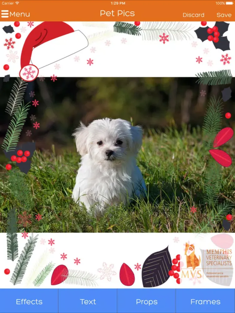 Memphis Veterinary Specialists iPad  스크린샷