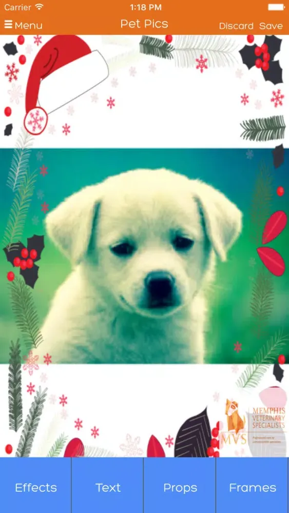 Memphis Veterinary Specialists 스크린샷