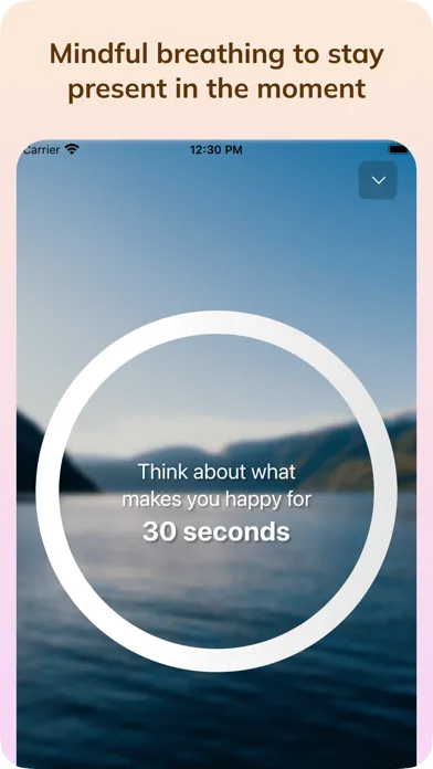 Скриншоты My Wellbeing: Routine & Habit