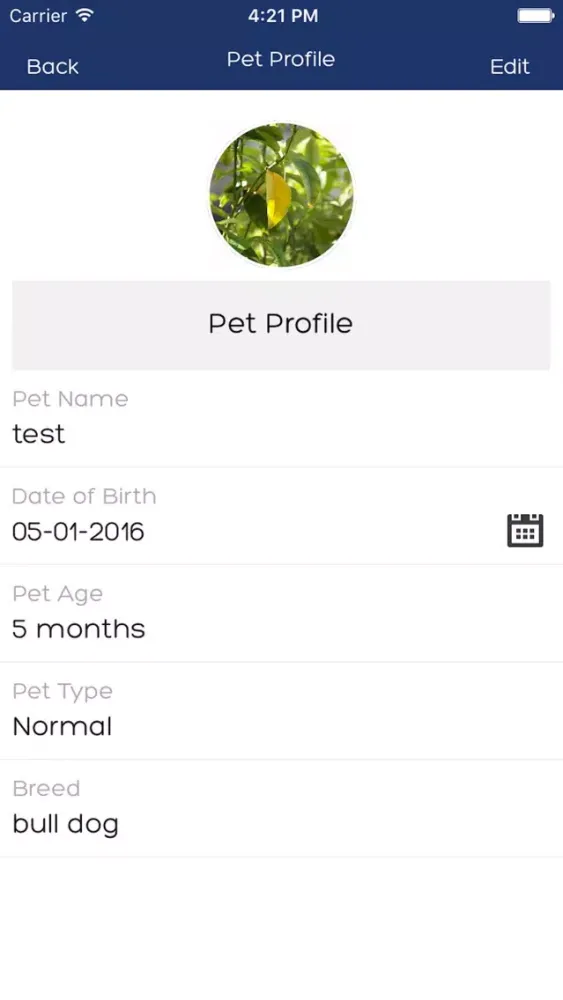 Overland Vet Clinic Screenshots