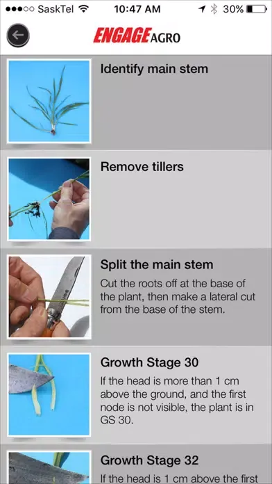 PGR Crop Staging Guide स्क्रीनशॉट