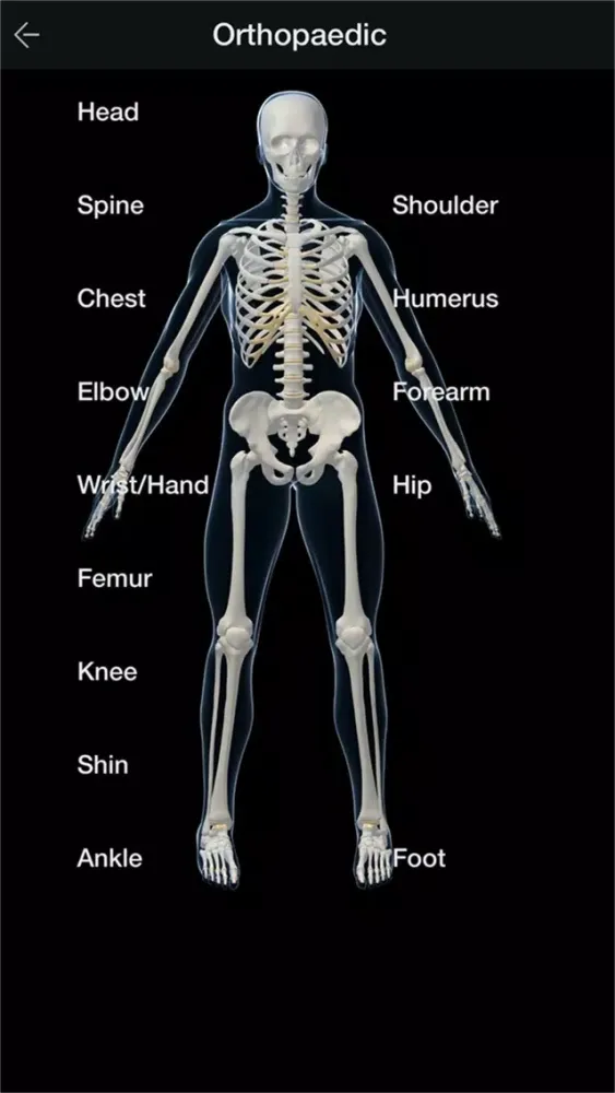 Скриншоты Assic Medical Examination