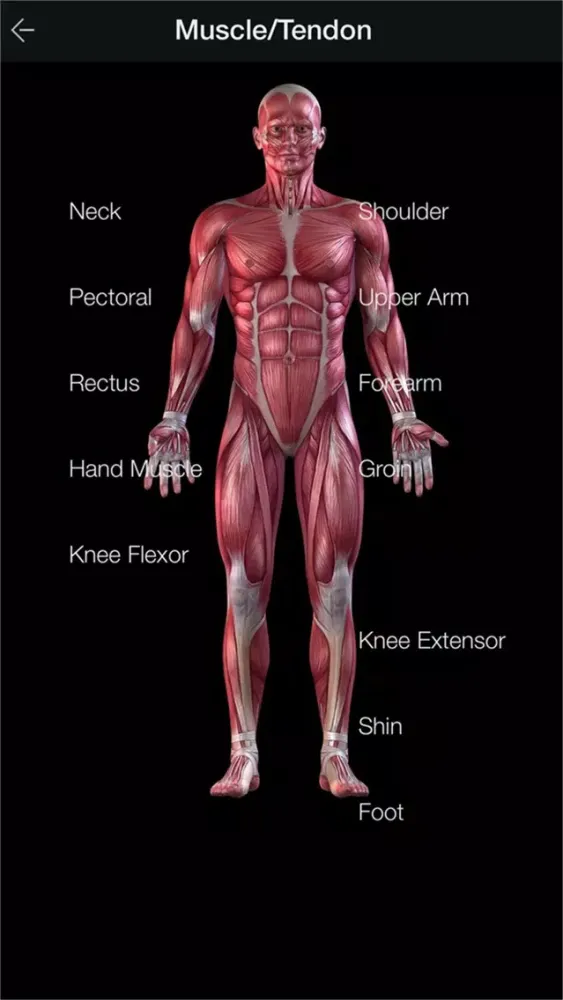 Скриншоты Assic Medical Examination