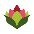 BergFlora BergFlora