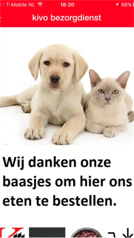 kivo bezorgdienst应用截图